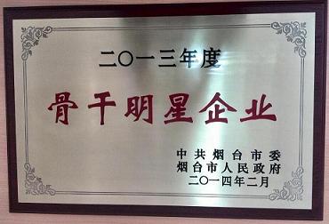 2013年度煙臺市骨干明星企業